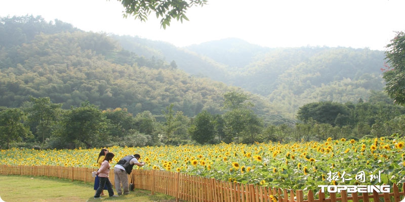 绍兴大香林风景区大香林风景区