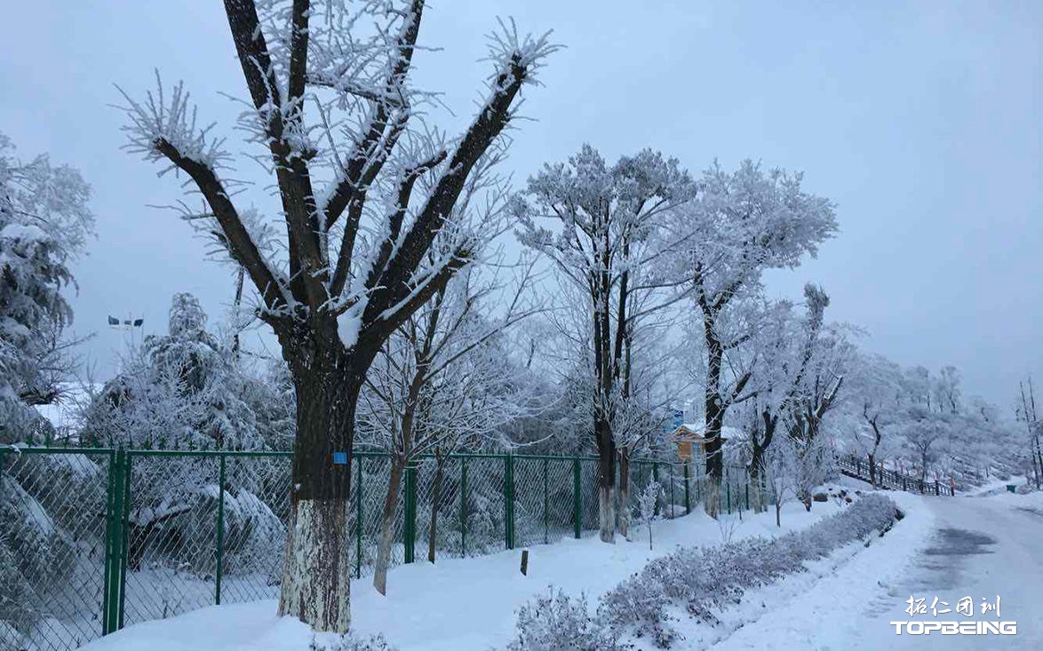 雪后景色