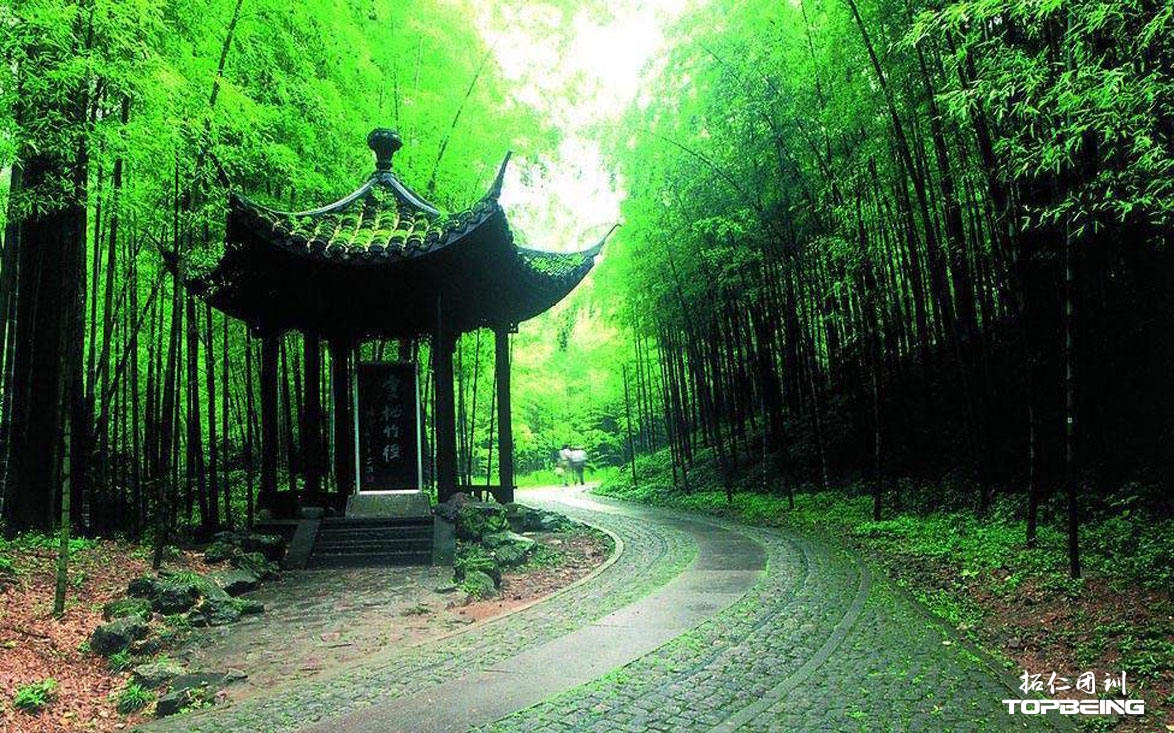 成片的竹林，古朴的小亭