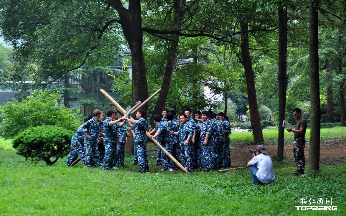 树林深处的草地