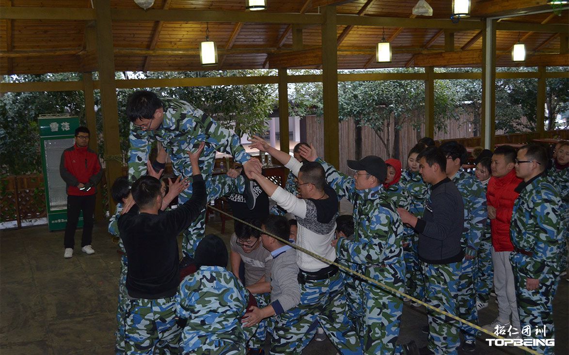 团队协作的力量